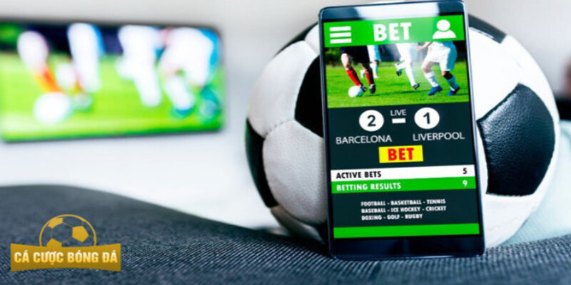 Cach su dung thong tin ty le ca cuoc bong da