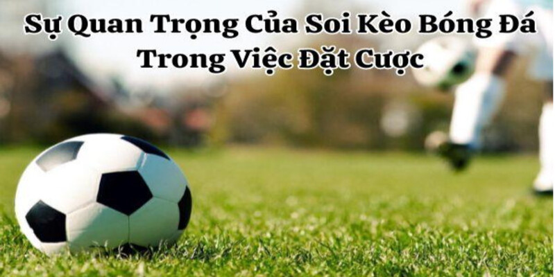 Su Quan Trong Cua Soi Keo Bong Da Trong Viec Dat Cuoc