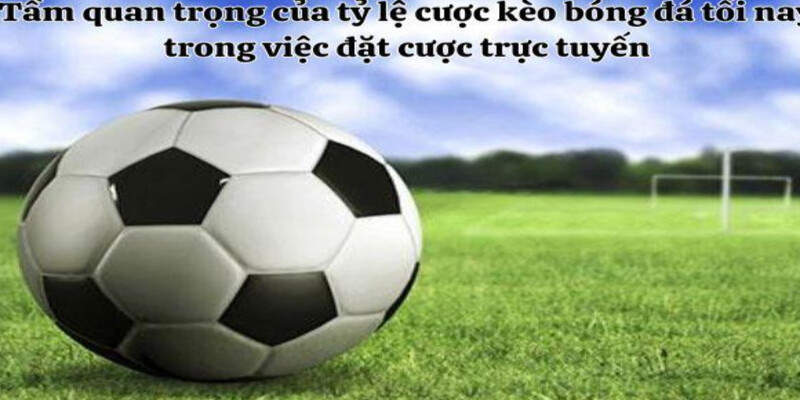 Tam quan trong cua ty le cuoc keo bong da toi nay