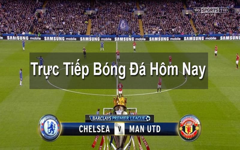 Hệ thống link xem chất lượng