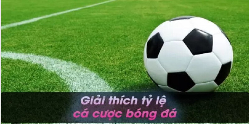 ty le ca cuoc bong da