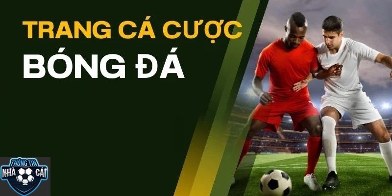 Trang Cá Cược Bóng Đá Cho Người Mới - Cách Đăng Ký