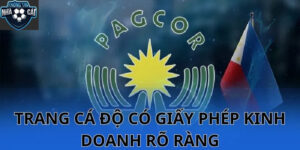 Kinh Nghiệm Lựa Chọn Trang Cá Cược Bóng Đá Phù Hợp