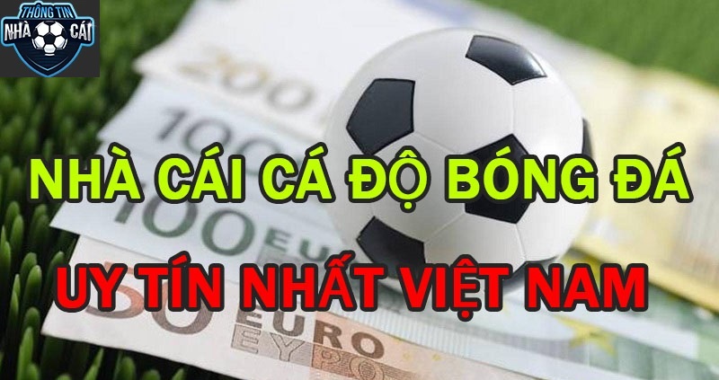 Bí Quyết Chọn Trang Cá Cược Bóng Đá An Toàn Và Tin Cậy