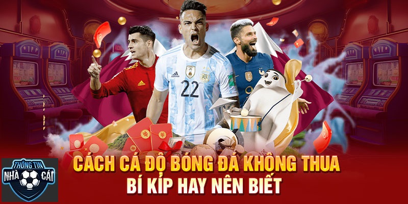 Lời khuyên dành cho người mới khi tham gia cá cược bóng đá