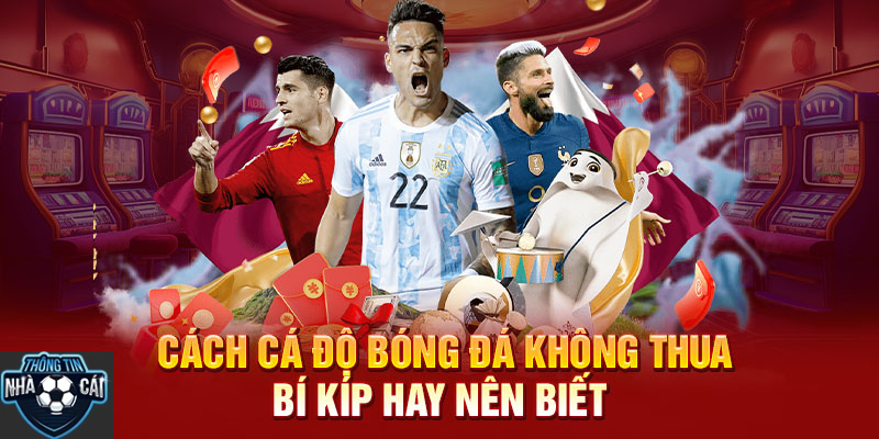 Lưu ý khi tham gia các nền tảng cá cược bóng đá