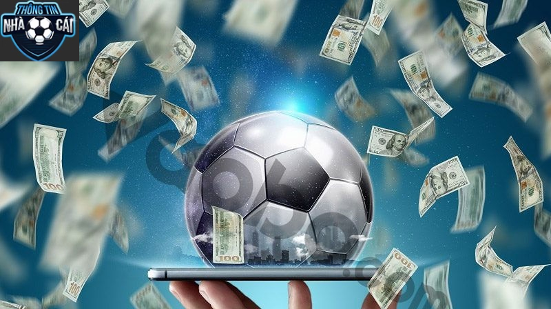 Thị trường cá cược: Màu mỡ cho kẻ gian lộng hành