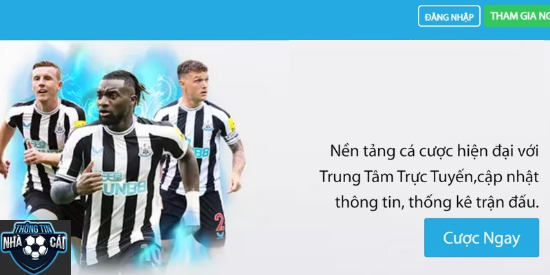 Top 5 Trang Cá Cược Bóng Đá Có Giao Diện Dễ Dùng Nhất