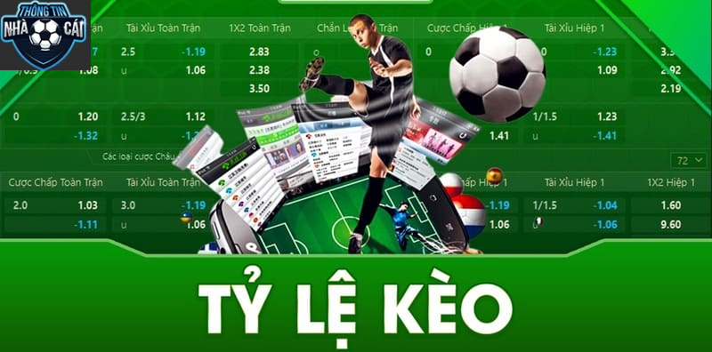 Top 5 Trang Cá Cược Bóng Đá Hàng Đầu được người chơi tin tưởng năm 2025