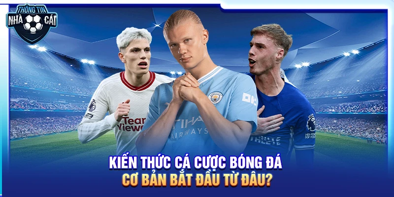 Cẩm nang kiến thức cá cược bóng đá từ A-Z cho người chuyên nghiệp