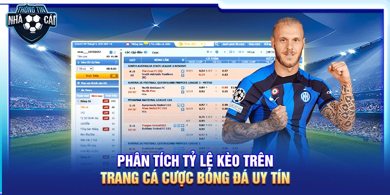phan tich ty le keo tren trang ca cuoc bong da uy tin Phân tích tỷ lệ kèo trên trang cá cược bóng đá uy tín